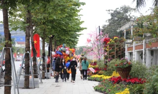 Tối 8/4, phố đi bộ đầu tiên ở TP Vinh sẽ hoạt động 