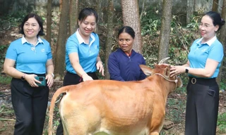 Nhiều hoạt động đồng hành cùng phụ nữ biên cương ở Nghệ An