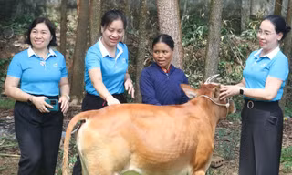 Nhiều hoạt động đồng hành cùng phụ nữ biên cương ở Nghệ An