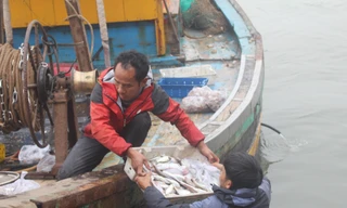 Cá tôm đầy khoang những ngày đầu năm mới