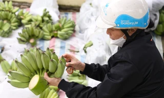 Nửa triệu một nải chuối xanh bày mâm ngũ quả