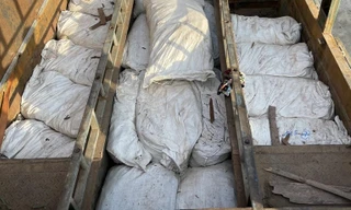 Chế hầm bí mật, vận chuyển trái phép hơn 4,5 tấn gỗ trắc và vảy tê tê