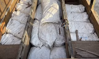 Chế hầm bí mật, vận chuyển trái phép hơn 4,5 tấn gỗ trắc và vảy tê tê