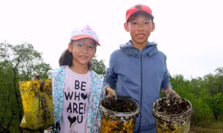 Trẻ em thành phố Vinh lội bùn đi săn 'cua lạ' nơi rừng bần