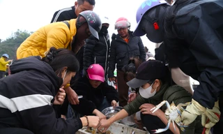 Nhộn nhịp cảnh mua bán hải sản ở bãi biển lúc rạng đông