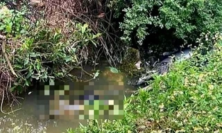 Phát hiện người phụ nữ tử vong dưới mương nước