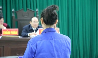 Chờ thi hành án vẫn đi lừa đảo, nữ quái bật khóc biện minh