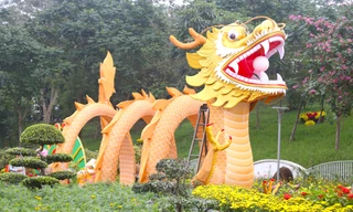 Chiêm ngưỡng linh vật rồng ở Nghệ An