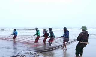 Ngư dân ‘hết thời’ đi kéo lưới rùng, kiếm tiền triệu trong ngày