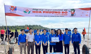 Tưng bừng ngày hội chiến dịch Hoa phượng đỏ 2022 của tuổi trẻ Nghệ An