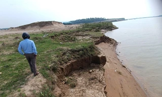 Không dám canh tác vì đất sản xuất... trôi sông