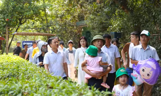 Tết Độc lập về thăm quê Bác