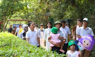 Tết Độc lập về thăm quê Bác