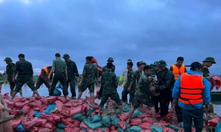 Vỡ đê ở Nghệ An, hàng trăm người dầm mưa xuyên đêm khắc phục 