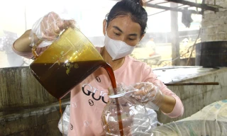 Làng mật mía tranh thủ từng phút chạy đua đơn hàng Tết