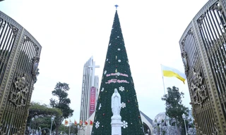 Nhìn gần cây thông Noel ‘khủng’ cao hơn tòa nhà 10 tầng ở xứ Nghệ 