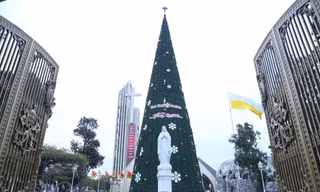 Nhìn gần cây thông Noel ‘khủng’ cao hơn tòa nhà 10 tầng ở xứ Nghệ 