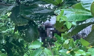 Sau 4 ngày mất tích, thi thể nữ sinh 16 tuổi được phát hiện dưới sông