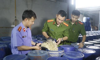 'Nóng' hàng giả, thực phẩm bẩn tại kỳ họp HĐND tỉnh 