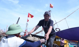 Ngư dân đón 'lộc biển' sau chuyến ra khơi đầu năm, tàu cập bờ là cháy hàng