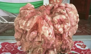 Kỳ lạ củ khoai lang giống chiếc bình vôi, nặng 9 kg ở Nghệ An