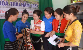Hỗ trợ phát triển sản xuất ở vùng đồng bào dân tộc thiểu số, miền núi Nghệ An