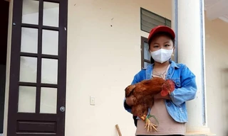 Bé 8 tuổi ôm một con gà, bao gạo, bí đỏ đến ủng hộ khu cách ly