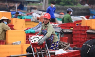 Nghệ An khẩn tìm người đến các địa điểm liên quan chùm ca nhiễm COVID-19 cộng đồng