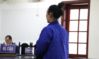 Lừa người cô họ góp vốn lấy lô hàng từ nước ngoài để chiếm đoạt tiền tỷ 