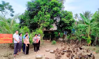 Thay đổi tập quán chăn nuôi vịt đem lại hiệu quả kinh tế cao cho bà con