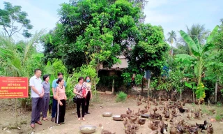 Thay đổi tập quán chăn nuôi vịt đem lại hiệu quả kinh tế cao cho bà con