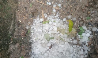 CLIP: Mưa đá ào ào trút xuống huyện miền núi Nghệ An