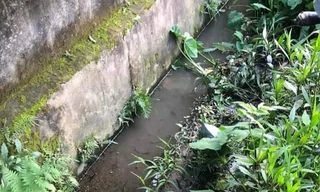 Đi bộ đến đường đón con, người bố rơi xuống mương nước tử vong