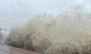 Bão số 8: Sóng lớn như bức tường nước dựng đứng ở biển Cửa Lò