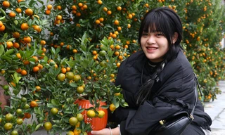 Đào, quất mini đắt khách dịp Tết Nguyên đán