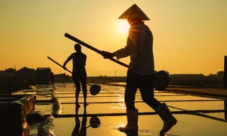 Đẹp ngỡ ngàng bình minh trên cánh đồng muối xứ Nghệ