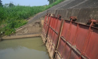 Cống chống úng cho 700 ha đất sản xuất nứt nẻ, không thể tự đóng mở 