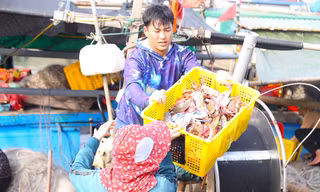 Giăng lưới săn ghẹ, ngư dân kiếm tiền triệu mỗi ngày