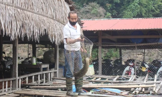 Thoát nghèo nhờ nuôi cá trên lòng hồ