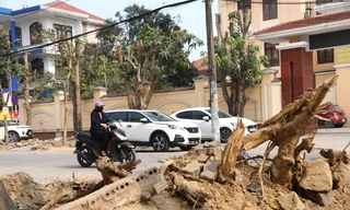 Nhếch nhác ở tuyến đường 74 tỷ đồng tại thành phố Vinh