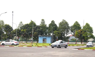 Lý do Nghệ An xóa 'vạch căn' trên sân thi sát hạch lái xe 