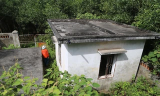 Nhà máy nước tiền tỉ bị bỏ quên giữa heo hút rừng tràm 