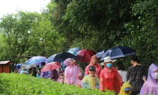 Hàng vạn người về thăm quê Bác dịp lễ 30/4 và 1/5