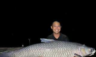 Đại gia chi 50 triệu đồng mua 'thủy quái' trắm đen hơn 40 kg 