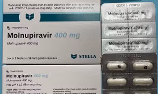 Nghệ An nghiêm cấm mua bán thuốc Molnupiravir điều trị COVID-19