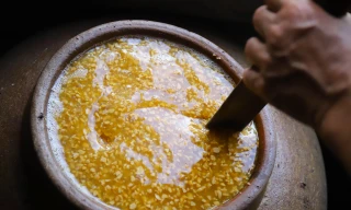 Tương Nam Đàn – Từ món ăn dân dã đến đặc sản xứ Nghệ