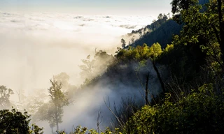 Bồng bềnh 'biển' mây đẹp tựa chốn thiên đường ở miền Tây xứ Nghệ