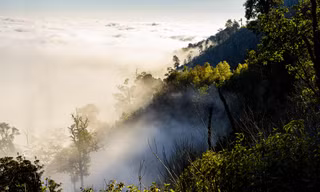 Bồng bềnh 'biển' mây đẹp tựa chốn thiên đường ở miền Tây xứ Nghệ