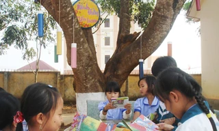 Thư viện dưới tán lá