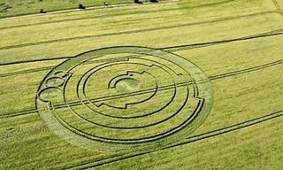 Những cánh đồng kỳ quái nghi giấu thông điệp người ngoài hành tinh 